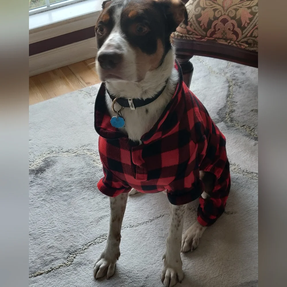 Dog Jammies.